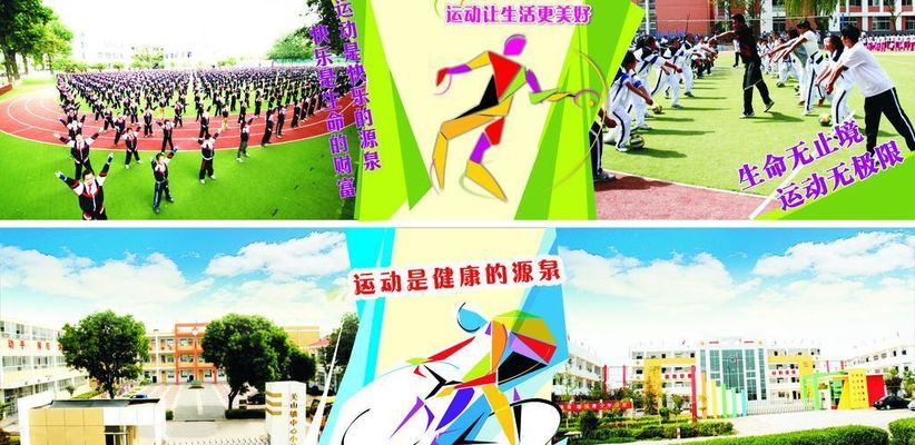 “青春同行不散场 体育梦想启新航” 市体育局团委组织开展共青团上海市体宝博体育登录育局第十三届委员会离团卸任仪式